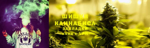 амф Новокубанск